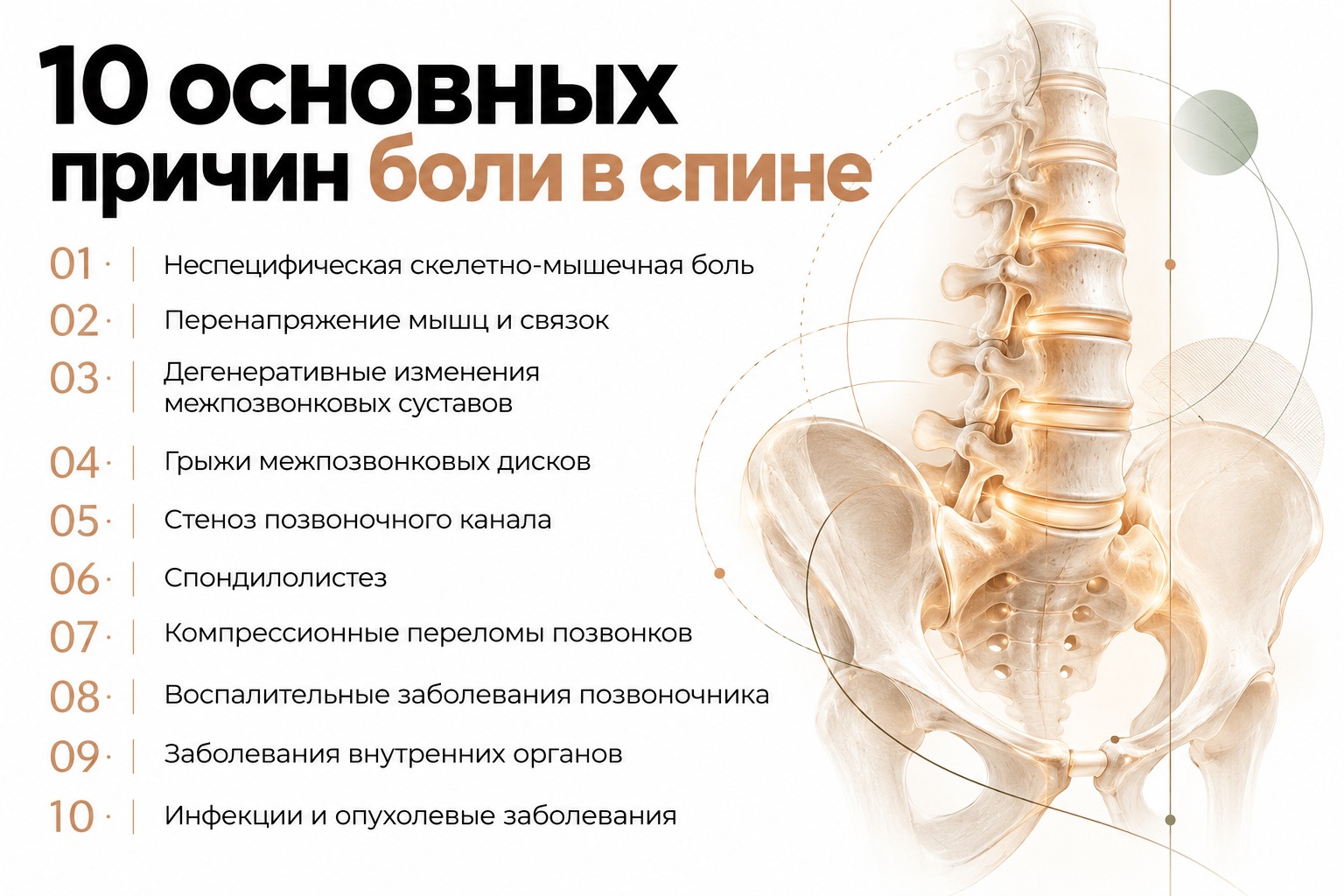 Боль в спине: когда нужна диагностика и как восстановить подвижность — фото 4