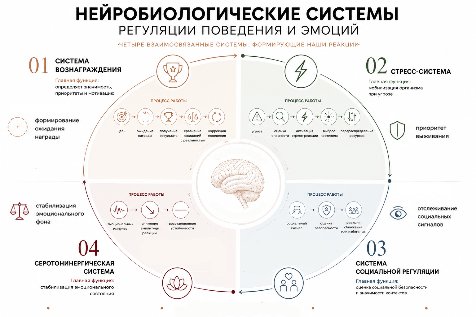 «Формула счастья»: гормоны и нейромедиаторы, которые управляют настроением