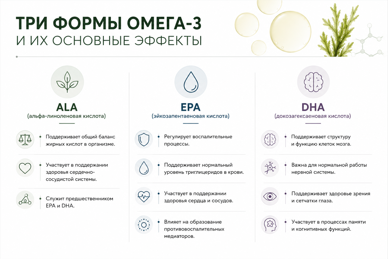 Как принимать омега-3: польза, дозировка и лучшие источники жирных кислот