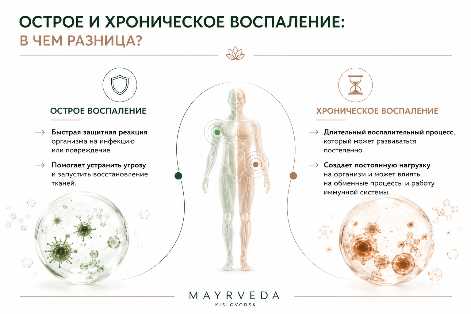 Хроническое воспаление: скрытая причина большинства заболеваний